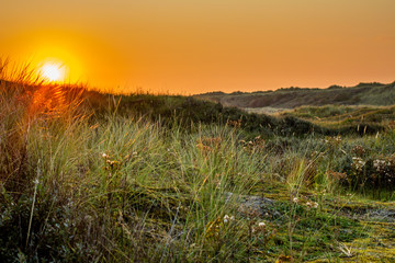 A landscape with dunes at sunset