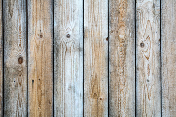 Background from pine boards in light gray color.