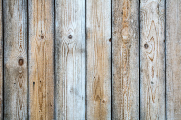 Fototapeta premium Background from pine boards in light gray color.