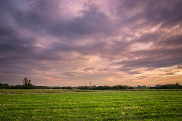 Green field, purple clouds on the sky