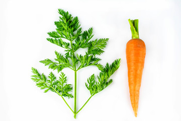 Carrots and fruit in isolated on a white background.