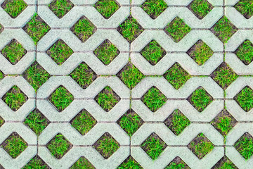 Seamless pattern with paving stones from an original shape tile in the form of a grid on a covered park path and green grass between the tiles, top view.