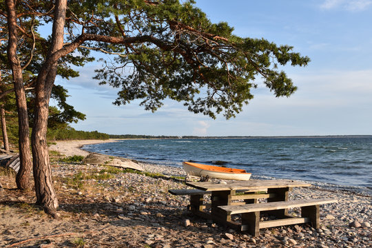 Idyllic coastline of the Baltic Sea with landed boat and benches