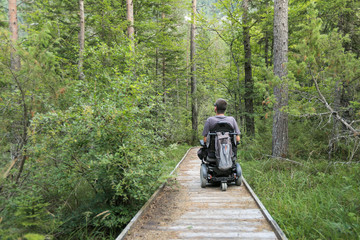 Obraz premium Happy man on wheelchair in nature. Exploring forest wilderness on an accessible dirt path.