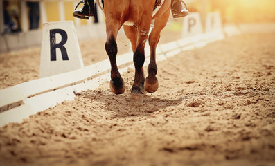 Legs of a sports horse galloping in the arena.