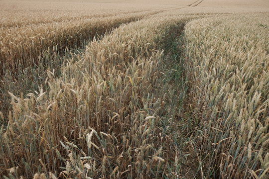 Nartur Bilder Durchsuchen 64 Archivfotos, und Videos