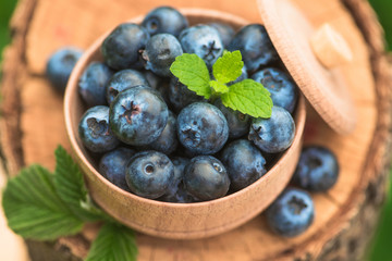 Fresh and natural blueberry with mint leaf on a stump green garden background