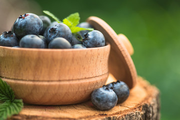 Fresh and natural blueberry with mint leaf on a stump green garden background