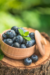 Fresh and natural blueberry with mint leaf on a stump green garden background