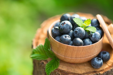 Fresh and natural blueberry with mint leaf on a stump green garden background