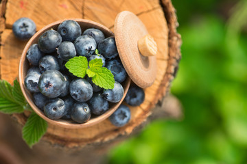 Fresh and natural blueberry with mint leaf on a stump green garden background