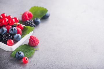 Closeup of fresh berry, currants, blueberry, raspberry