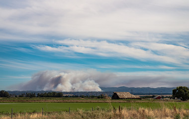 Fototapeta na wymiar A wildfire burning in the Northern California countryside