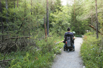 Happy man on wheelchair in nature. Exploring forest wilderness on an accessible dirt path.