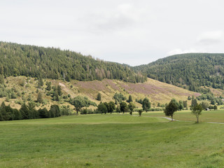 Fototapeta na wymiar Schwarzwaldlandschaft - Menzenschwand im Südschwarzwald - Blick ins Tal der Menzenschwander Alb, Südhang des Feldberges