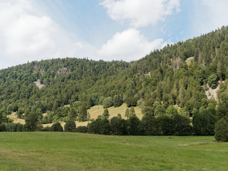 Schwarzwaldlandschaft - Natur und grüne Landschaft in Menzenschwand im Schwarzwald, Menzenschwander Alb, Südhang des Feldberges