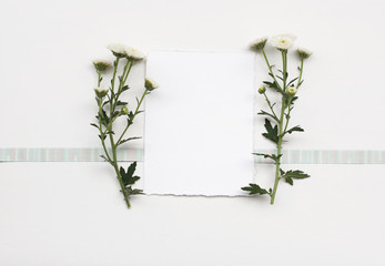 Paper frame with flower on white texture background. Greeting card.