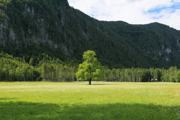 Beautifull Logar valley or Logarska dolina park, Slovenia, Europe. Inspiration travel under Kamnik-Savinja Alps. © 24K-Production