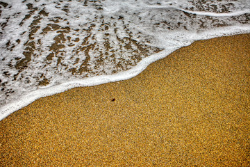 Fototapeta na wymiar Waves wetting the shore of the beach