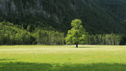 Beautifull Logar valley or Logarska dolina park, Slovenia, Europe. Inspiration travel under Kamnik-Savinja Alps. © 24K-Production