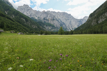 Beautifull Logar valley or Logarska dolina park, Slovenia, Europe. Inspiration travel under Kamnik-Savinja Alps.