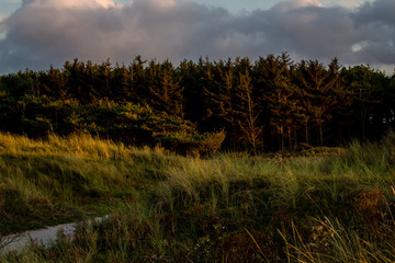 A landscape with dunes at sunset