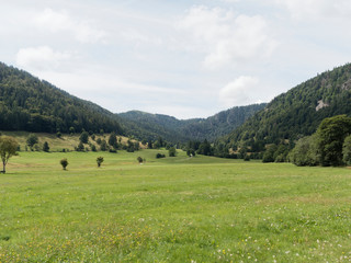 Fototapeta na wymiar Schwarzwaldlandschaft - Menzenschwand im Südschwarzwald, Ort im Naturpark Südhang des Feldberges und ein Teil der Stadt St. Blasien im Schwarzwald - Baden-Württemberg