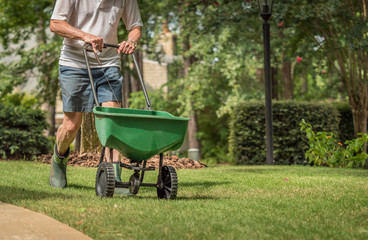 Man seeding and fertilizing residential backyard lawn with manual grass seed spreader.
