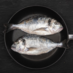 Fresh fixh dorado on a frying pan on a dark background. View from above.