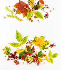 Autumn composition made of leaves, berries on white background. Autumn concept for Thanksgiving day or for other holidays. Flat lay.