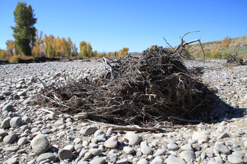 Dried up river