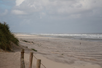 Sandy dunes at the beach