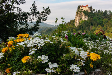 Bled Castle Flowers
