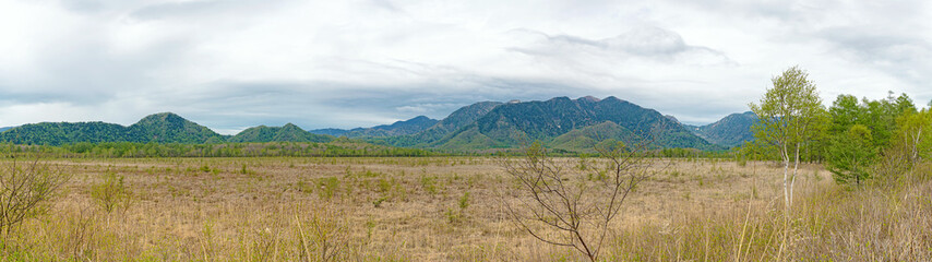 Obraz premium 戦場ヶ原 春景色