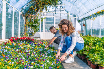 Portrait of woman and man positive gardeners in sunny greenhouse
