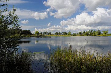 Lake on a summer day