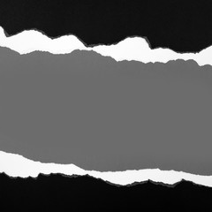Ripped paper on grey background, space for copy