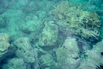 Stones in clear tropical water as a natural background.