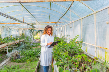 Obraz premium Scientist inspecting plants