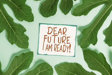 Handwriting text writing Dear Future I Am Ready. Conceptual photo state action situation being fully prepared