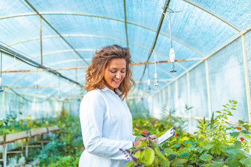 Young woman farming researcher standing in greenhouse