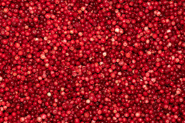 Red ripe fresh cranberries close-up. Fruit background. Cowberry, red bilberry, red whortleberry, foxberry, red huckleberry background. Berry pattern and texture. Food background.