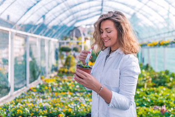 GMO Scientist Injecting Liquid from Syringe into the plant.