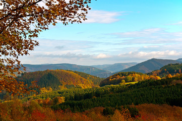 Fototapeta premium Herbst im Sauerland