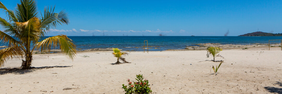 huge piles of Lake flies Chaoborus edulis at Lake Malawi, Africa