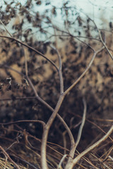 abstract nature background