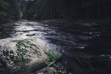 Mystische Stimmung am Fluss
