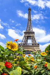 Fototapeta na wymiar Eiffel Tower with sun and sun flowers