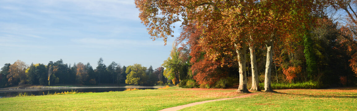 Landschaft 803