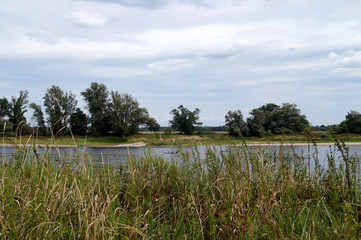 Die Elbe bei Dessau